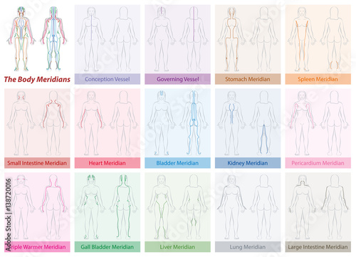 Body meridian chart of a womans body - with names and different colors - Traditional Chinese Medicine. Isolated vector illustration on white background.