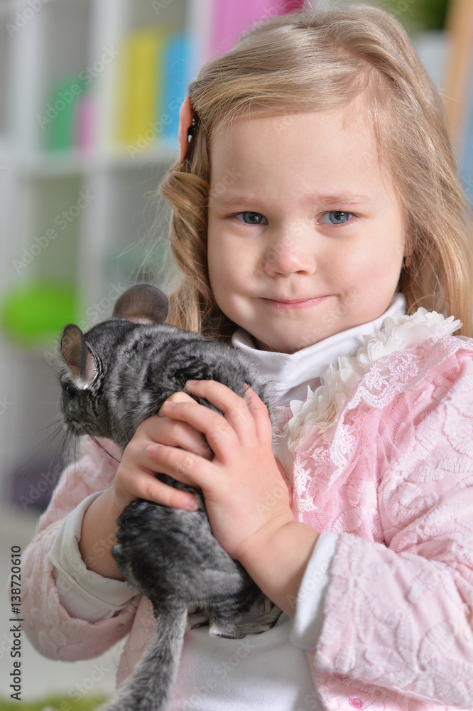 Girl playing with chinchilla Girl playing with chinchilla