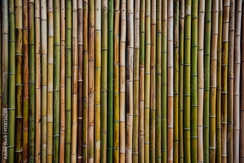 Fototapeta Naklejka Na Ścianę i Meble -  Bamboo fence background texture