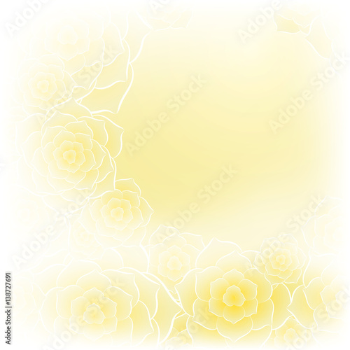 Beautiful yellow creamcoloured rose flower background photo
