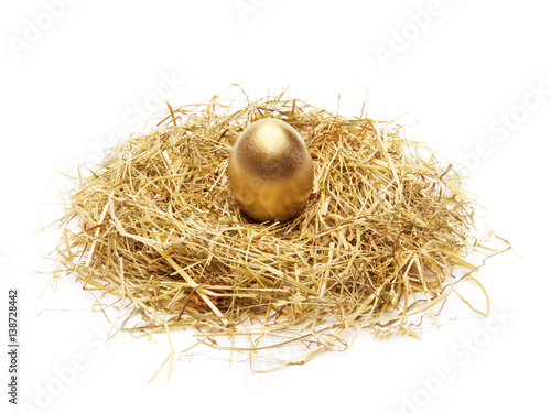 Goldei im Nest