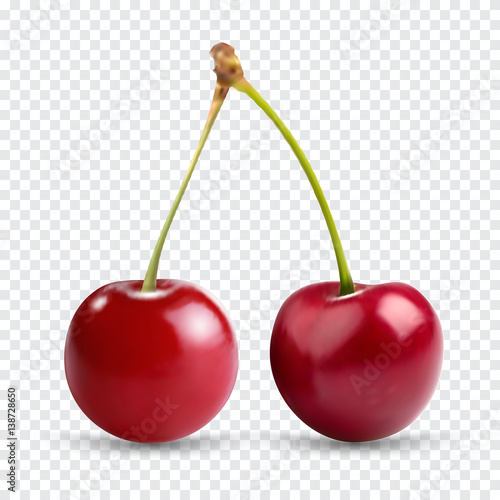 Red cherry. Two ripe berries with stalk