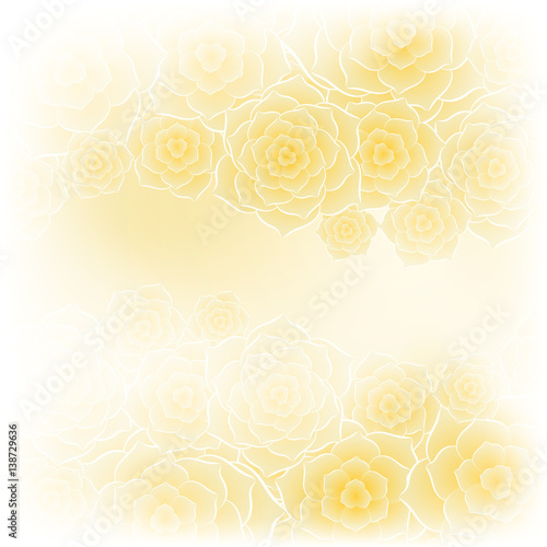 Beautiful yellow rose flower background