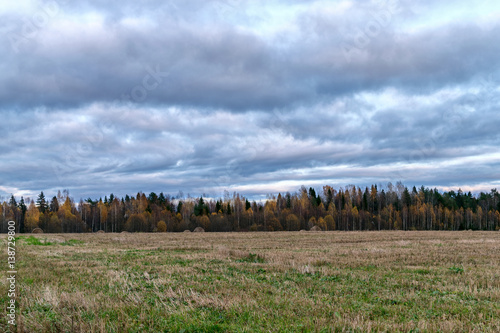 Autumn Landscape, field, yellowing trees in the forest, low overcast clouds.