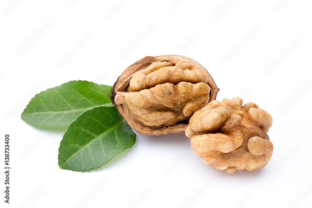 Walnut and walnut kernel isolated on the white background. Walnut and walnut kernel isolated on the white background.