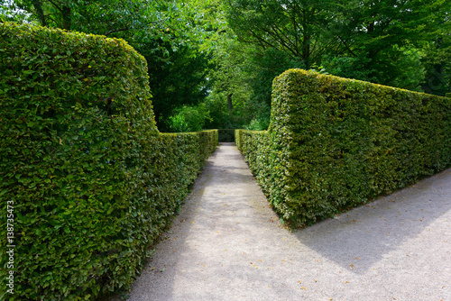 High hedges in the park in Germany.