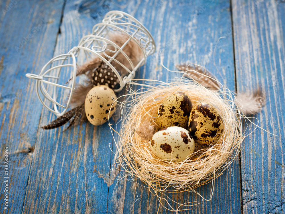 quail eggs on a blue wooden background quail eggs on a blue wooden background