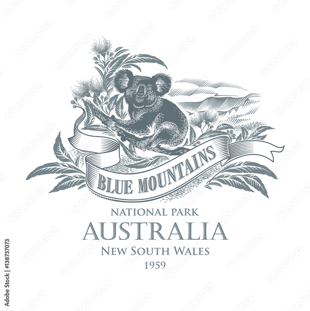 Naklejka premium Коала, национальный парк Голубые Горы, Австралия, в сером цвете, иллюстрация, вектор