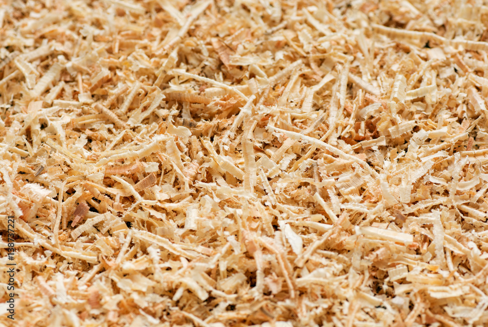 Wooden sawdust texture close up. Abstract background. Wooden sawdust texture close up. Abstract background.