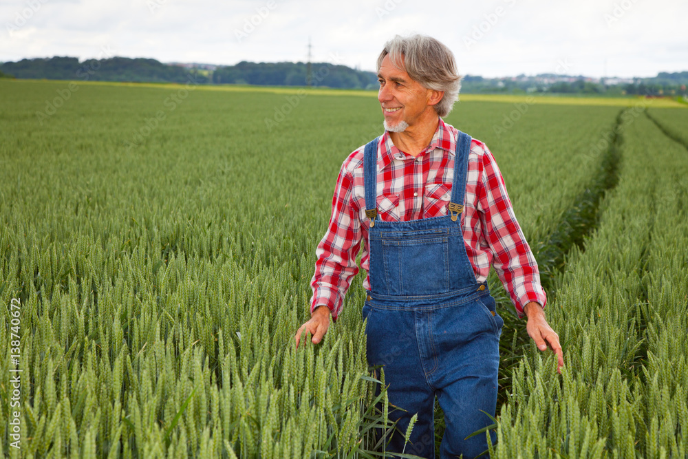 Farmer Walking Through Cereal Field Farmer Walking Through Cereal Field