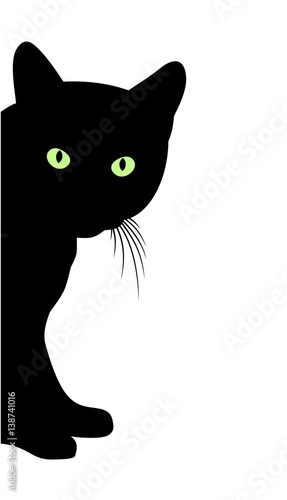 Кот