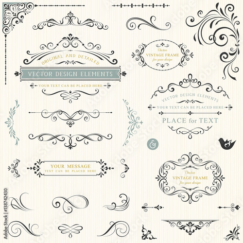 Calligraphy swirls, swashes, ornate motifs and scrolls. Vector illustration.