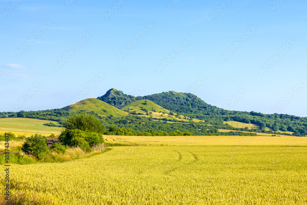 Summer landscape in the Czech Republic