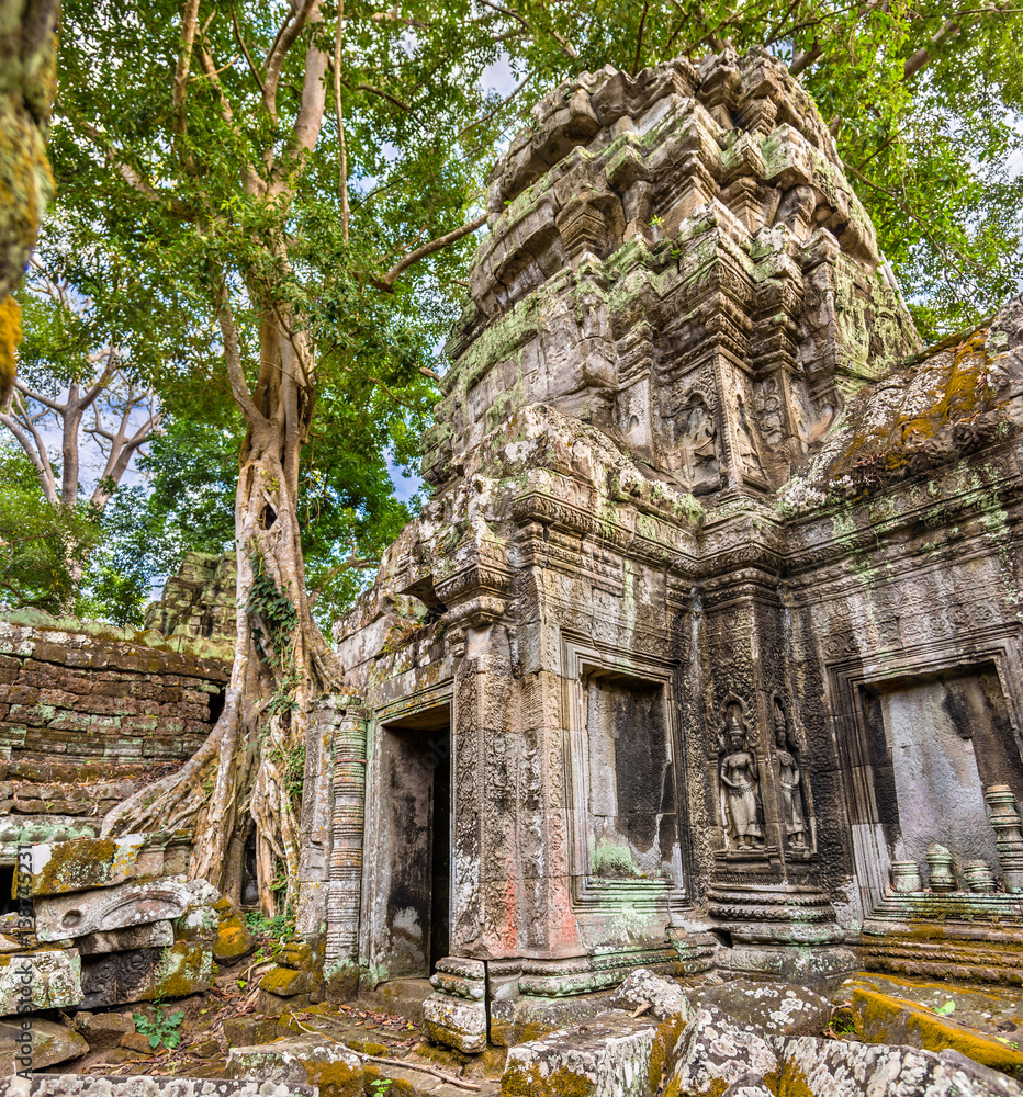 Ta Prohm Temple at Angkor in Cambodia