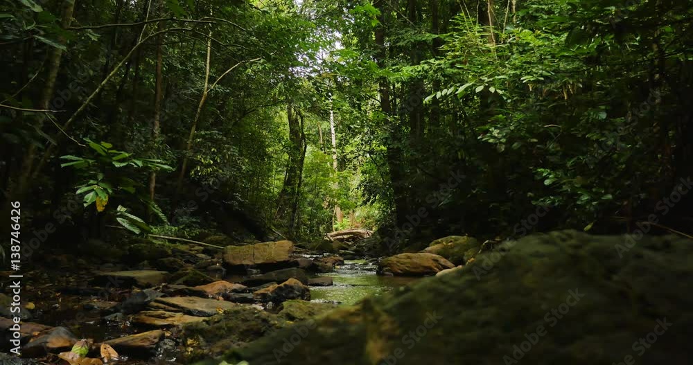 Stones in a jungle river filmed with camera slider Stones in a jungle river filmed with camera slider