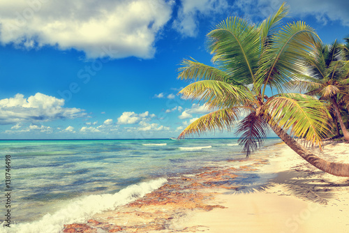 Tropical white sandy beach with palm trees. Saona Island  Dominican Republic