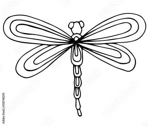 Cute dragon fly isolated on the white background © ellinanova