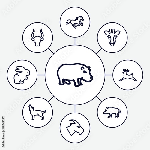 Set of 9 mammal outline icons
