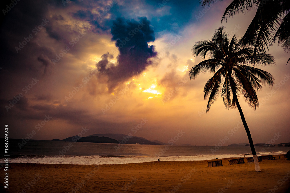 Silhouette of palm tree at beautiful tropical sunset.