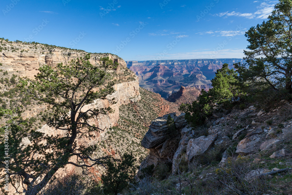 Grand Canyon South Rim Scenic Grand Canyon South Rim Scenic