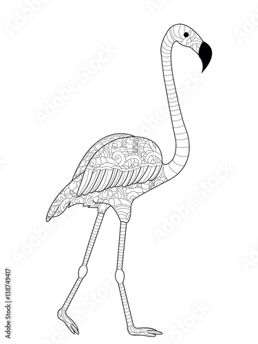 Flamingos coloring vector for adults