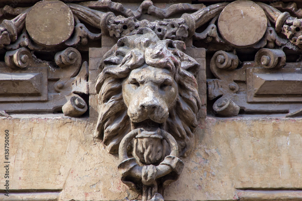  architecture detail on the wall of building with lion's head