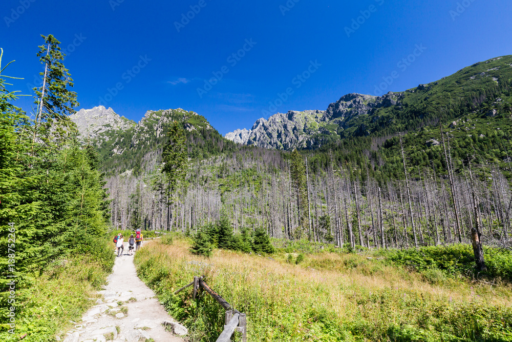 Mountain Lomnicky Stit in the High Tatras in Slovakia