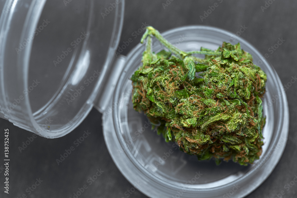 Close up of prescription medical marijuana bud