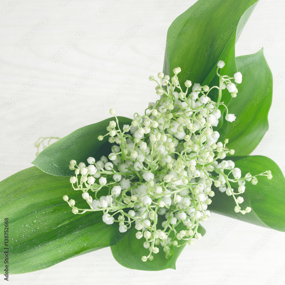 Obraz premium Lily of valley on white wooden table, top view