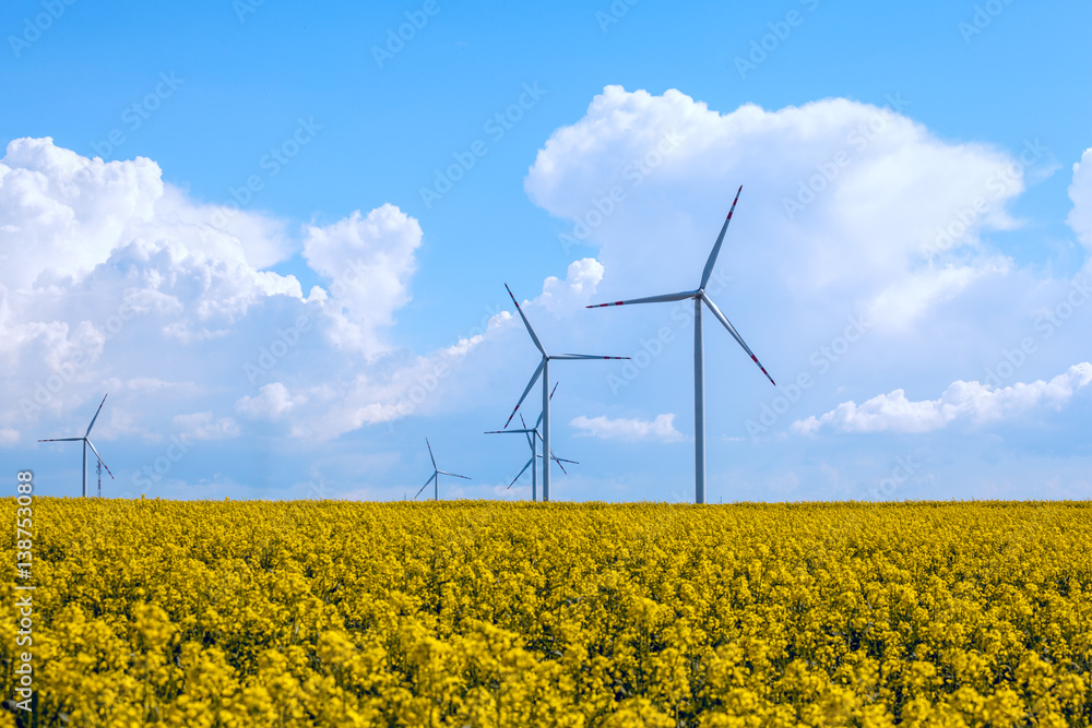 Wind energy turbines on yellow rape field Wind energy turbines on yellow rape field
