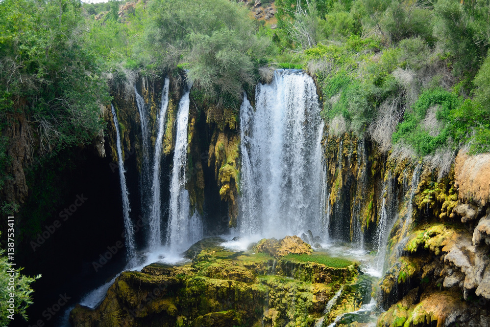 Naklejka premium hadim