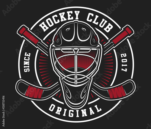 Hockey helmet with sticks