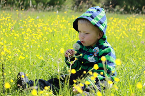 Little boy blowing the blowball in the middle of meadow
