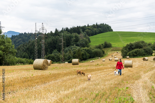 Girl walking with her Labrador dog on a farm field