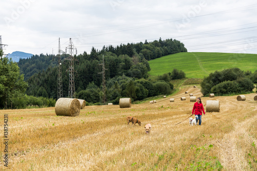 Girl walking with her Labrador dog on a farm field photo