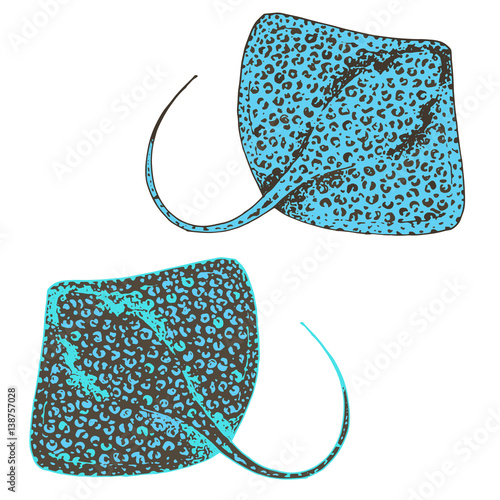 Vector stingray set, ray fish illustration. Animal in the wild - hand drawn sketch, marine life swimming animal