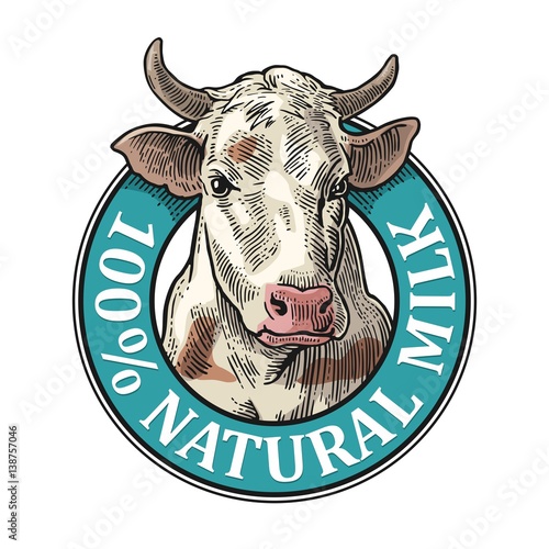 Cows head. 100 % Natural Milk. Vintage vector engraving