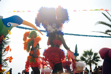 Keuken achterwand Carnaval Silhouet danseres met carnavalsveren  © aquar
