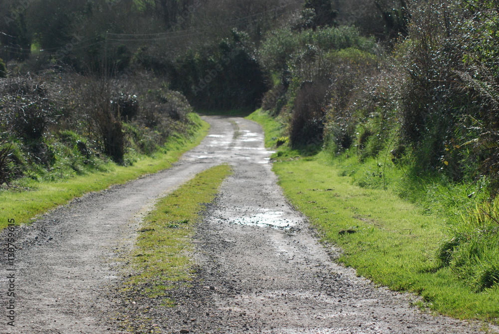 County lane, Waterford Ireland