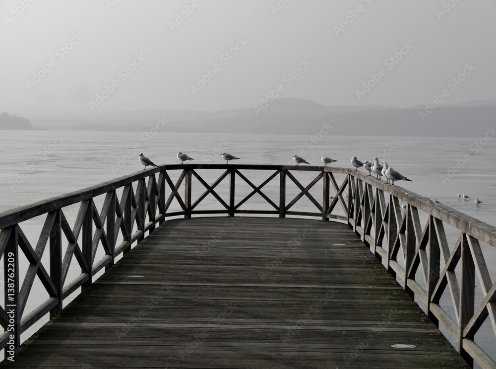 Möwen sitzen auf Seebrücke vor zugefrorenem See Möwen sitzen auf Seebrücke vor zugefrorenem See