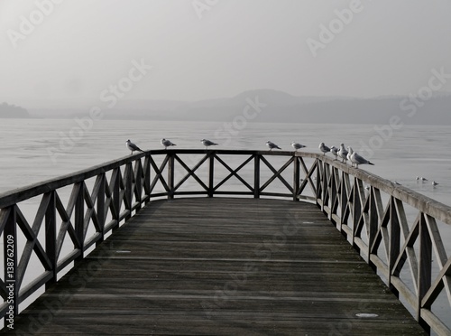 Möwen sitzen auf Seebrücke vor zugefrorenem See