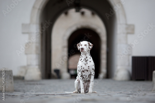guarding the entrance