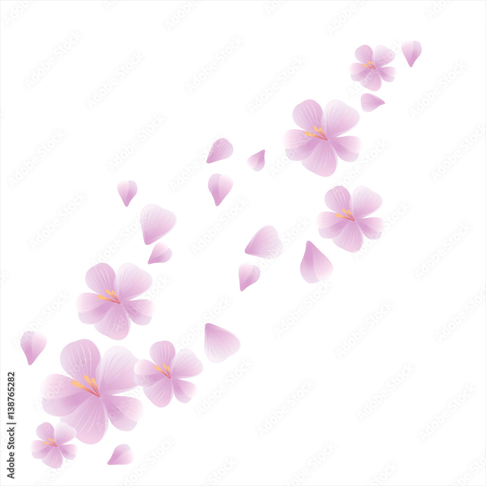 Bouquet of Sakura and flying petals isolated on white background. Apple-tree flowers. Cherry blossom. Vector
Bouquet of Sakura and flying petals isolated on white background. Apple-tree flowers. Cherry blossom. Vector