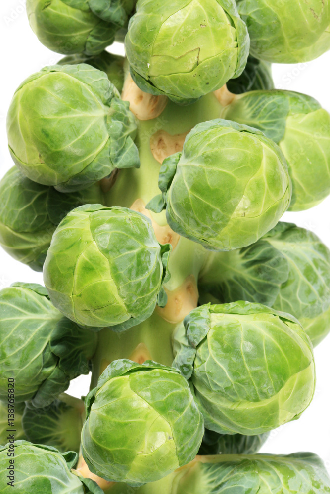 Fototapeta premium brussel sprout stalk