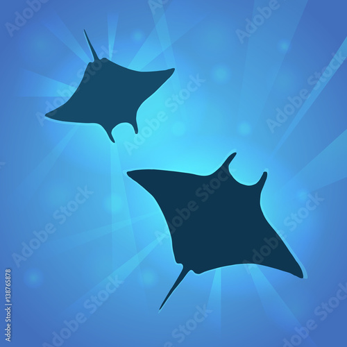 Vector stingray set, ray fish illustration. Animal in the wild - hand drawn sketch, marine life swimming in the ocean animal