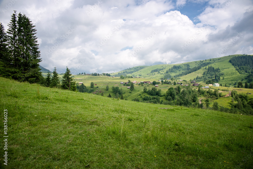 Fototapeta premium beautiful forest landscape in the Carpathian mountains