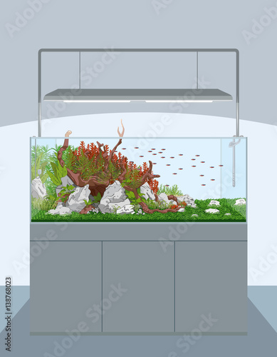 Natural home aquarium with fish and plants