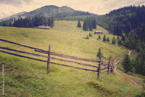 beautiful forest landscape in the Carpathian mountains