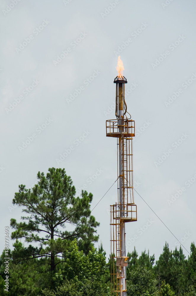 Obraz premium Oil refinery natural gas light flame on tower with trees