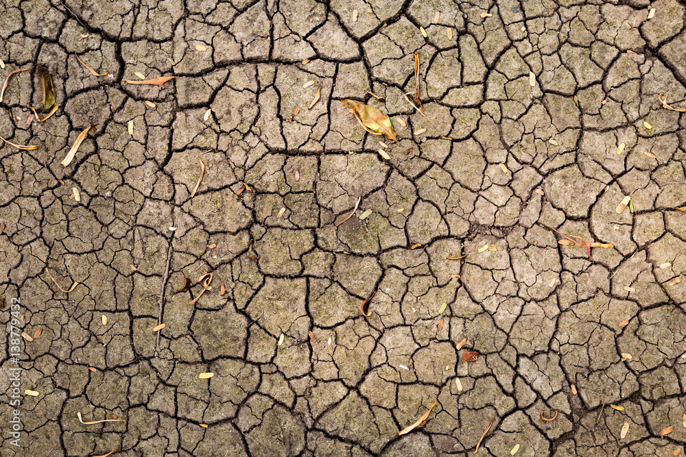 Natural dry soil crack texture background Natural dry soil crack texture background